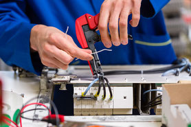 ASSEMBLAGE / MONTAGE