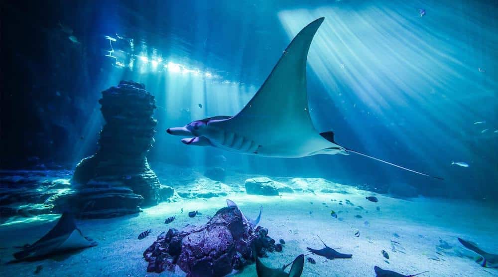 Aquarium Nausicaa & Boulogne-Sur-Mer